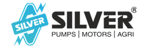 Silver Pumps